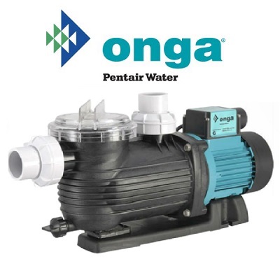 Onga pentair pool pumps